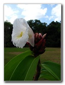 Parque-Natural-Metropolitano-Panama-City-021