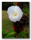 Parque-Natural-Metropolitano-Panama-City-022