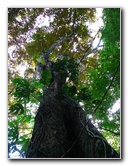 Parque-Natural-Metropolitano-Panama-City-029