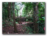 Parque-Natural-Metropolitano-Panama-City-031