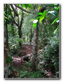Parque-Natural-Metropolitano-Panama-City-033