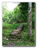 Parque-Natural-Metropolitano-Panama-City-035
