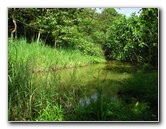 Parque-Natural-Metropolitano-Panama-City-036