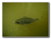 Parque-Natural-Metropolitano-Panama-City-040