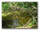 Parque-Natural-Metropolitano-Panama-City-041