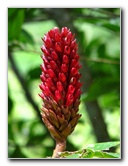 Parque-Natural-Metropolitano-Panama-City-043
