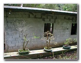Parque-Natural-Metropolitano-Panama-City-048