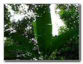 Parque-Natural-Metropolitano-Panama-City-057