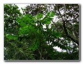 Parque-Natural-Metropolitano-Panama-City-060