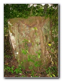 Parque-Natural-Metropolitano-Panama-City-061