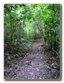 Parque-Natural-Metropolitano-Panama-City-065