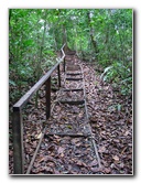 Parque-Natural-Metropolitano-Panama-City-067
