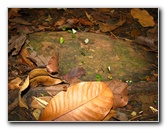 Parque-Natural-Metropolitano-Panama-City-069