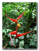 Parque-Natural-Metropolitano-Panama-City-071