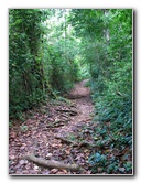 Parque-Natural-Metropolitano-Panama-City-072