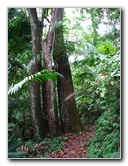 Parque-Natural-Metropolitano-Panama-City-075