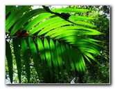 Parque-Natural-Metropolitano-Panama-City-078