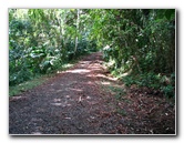 Parque-Natural-Metropolitano-Panama-City-080