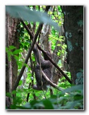Parque-Natural-Metropolitano-Panama-City-118