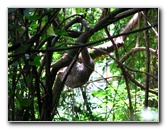 Parque-Natural-Metropolitano-Panama-City-121