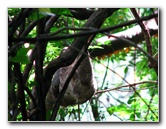 Parque-Natural-Metropolitano-Panama-City-122