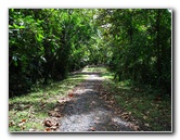 Parque-Natural-Metropolitano-Panama-City-123