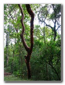 Parque-Natural-Metropolitano-Panama-City-128