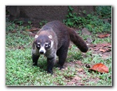 Parque-Natural-Metropolitano-Panama-City-132