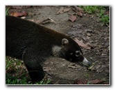 Parque-Natural-Metropolitano-Panama-City-133