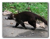 Parque-Natural-Metropolitano-Panama-City-134