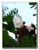 Parque-Natural-Metropolitano-Panama-City-136