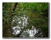 Parque-Natural-Metropolitano-Panama-City-137