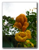 Parque-Natural-Metropolitano-Panama-City-141