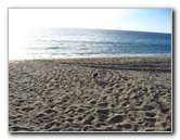 Point-Dume-State-Beach-Malibu-CA-005