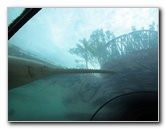 Predator-Lagoon-Underwater-Tunnel-Sharks-Atlantis-Bahamas-020