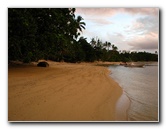 Prince-Charles-Beach-Matei-Taveuni-Island-Fiji-013