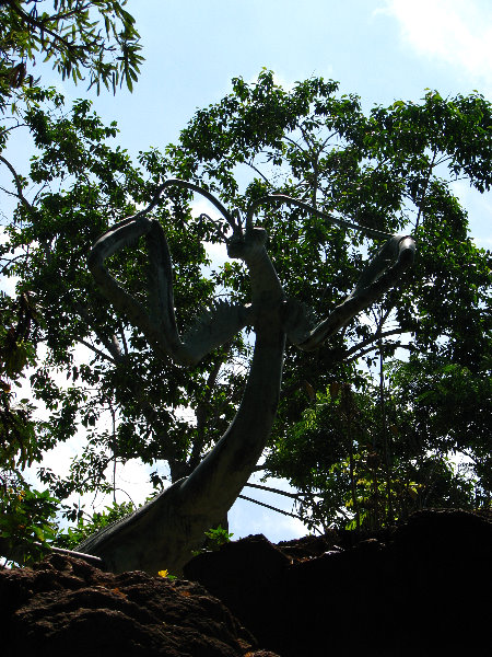 Pua-Mau-Place-Botanical-Garden-Kawaihae-Big-Island-Hawaii-013