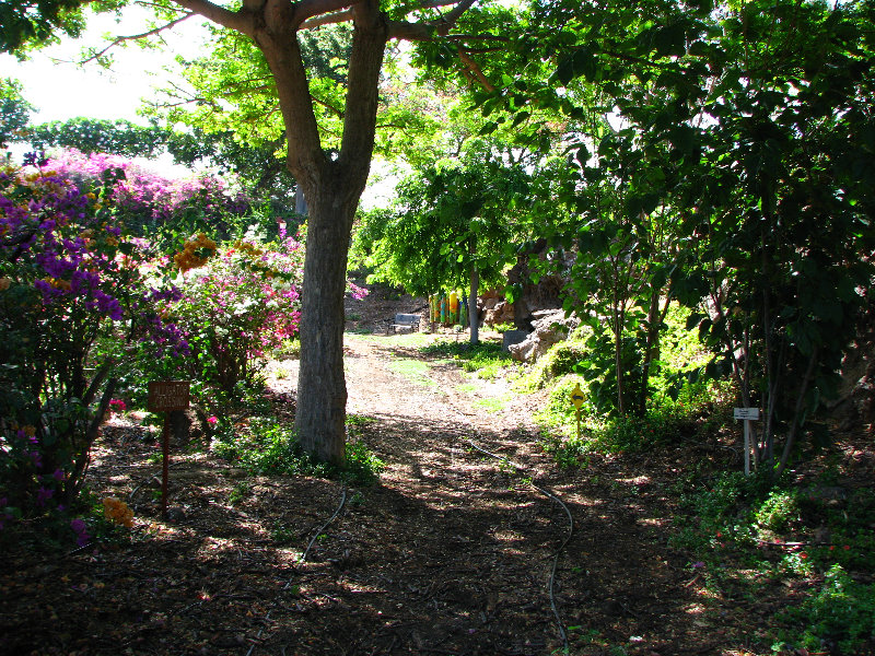 Pua-Mau-Place-Botanical-Garden-Kawaihae-Big-Island-Hawaii-017