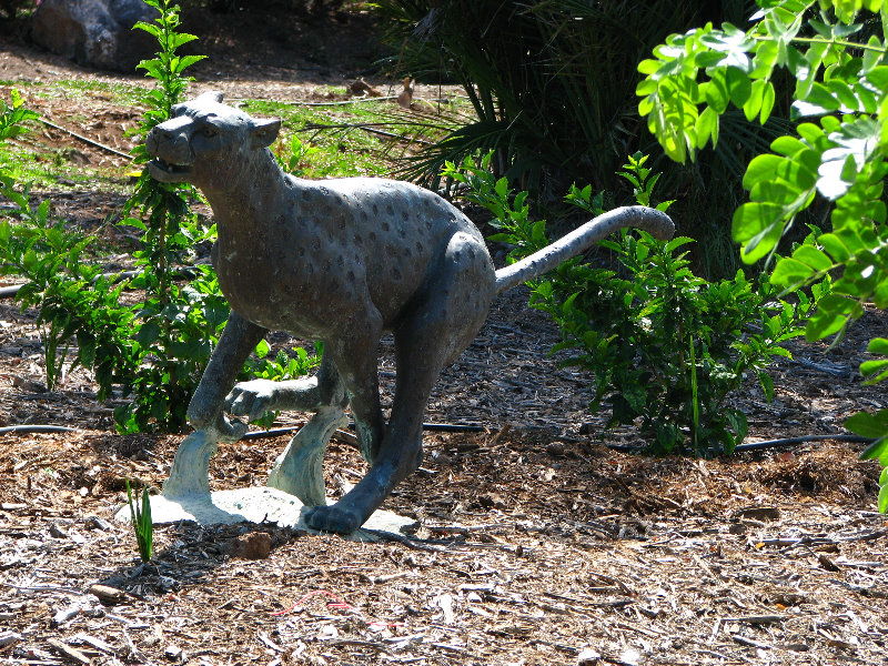 Pua-Mau-Place-Botanical-Garden-Kawaihae-Big-Island-Hawaii-034