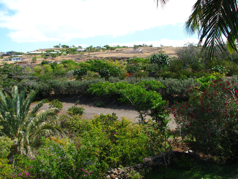 Pua-Mau-Place-Botanical-Garden-Kawaihae-Big-Island-Hawaii-036