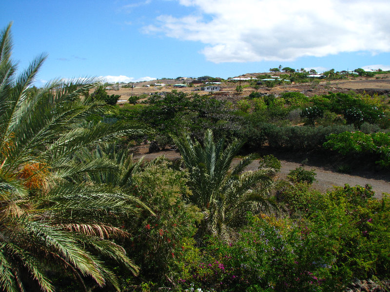 Pua-Mau-Place-Botanical-Garden-Kawaihae-Big-Island-Hawaii-037