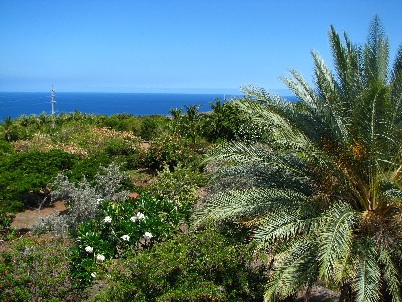 Pua-Mau-Place-Botanical-Garden-Kawaihae-Big-Island-Hawaii-038