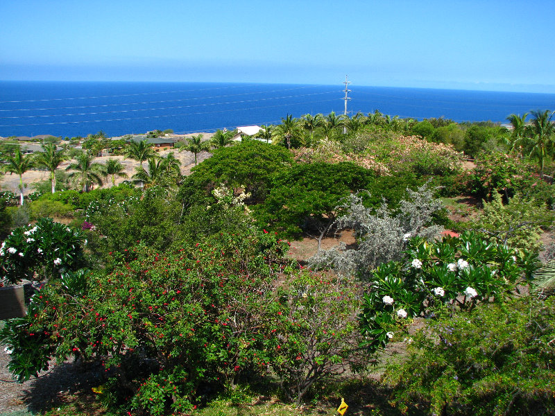 Pua-Mau-Place-Botanical-Garden-Kawaihae-Big-Island-Hawaii-039