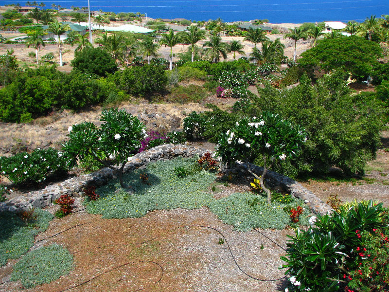 Pua-Mau-Place-Botanical-Garden-Kawaihae-Big-Island-Hawaii-040