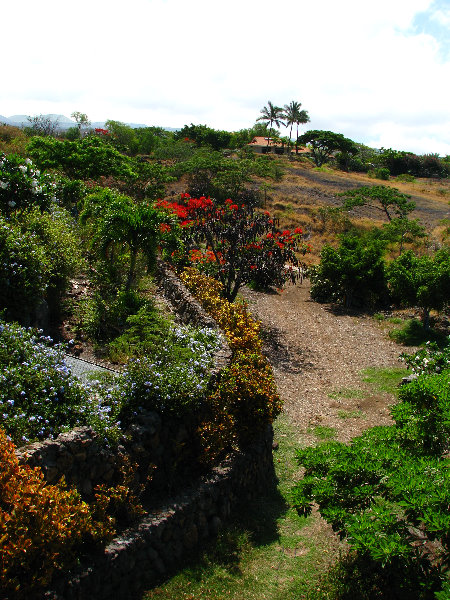 Pua-Mau-Place-Botanical-Garden-Kawaihae-Big-Island-Hawaii-044