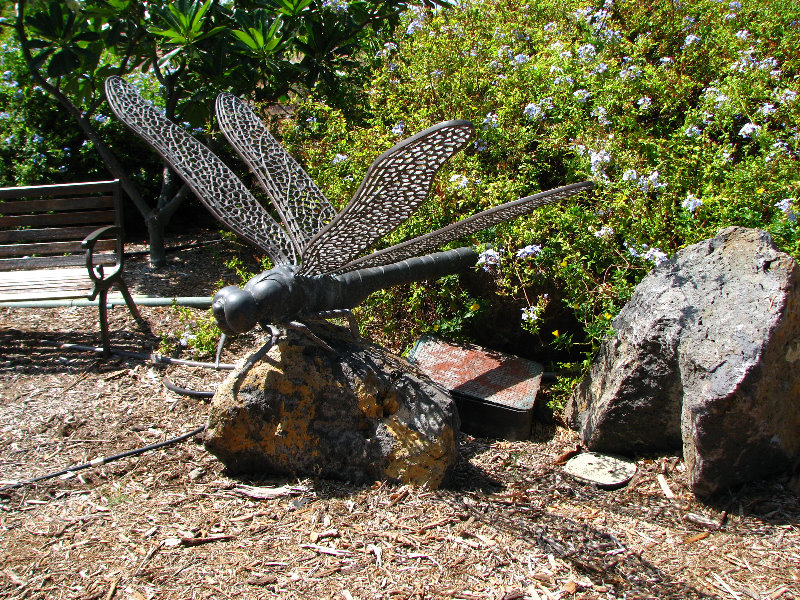 Pua-Mau-Place-Botanical-Garden-Kawaihae-Big-Island-Hawaii-046