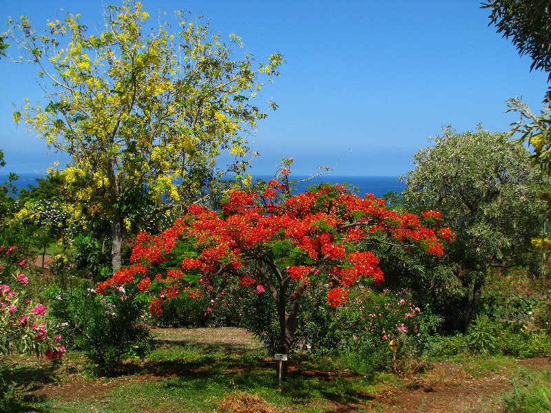 Pua-Mau-Place-Botanical-Garden-Kawaihae-Big-Island-Hawaii-062
