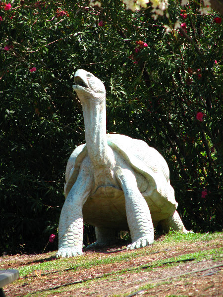 Pua-Mau-Place-Botanical-Garden-Kawaihae-Big-Island-Hawaii-082