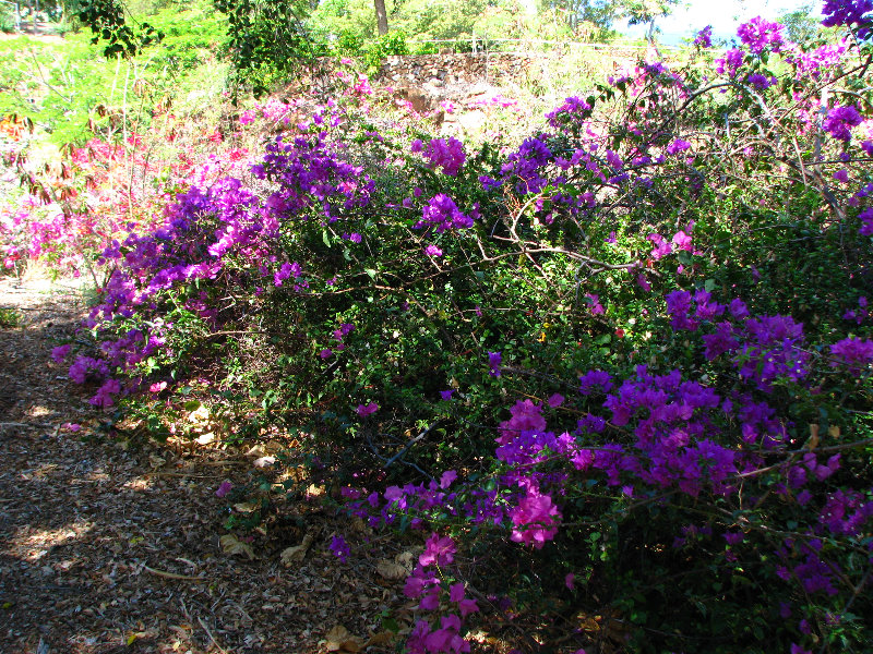 Pua-Mau-Place-Botanical-Garden-Kawaihae-Big-Island-Hawaii-084