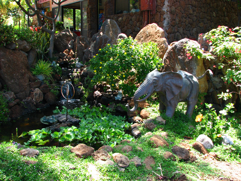 Pua-Mau-Place-Botanical-Garden-Kawaihae-Big-Island-Hawaii-092